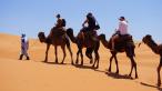 Výlet na Saharu