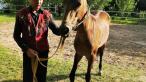Achaltekinsky kôň 