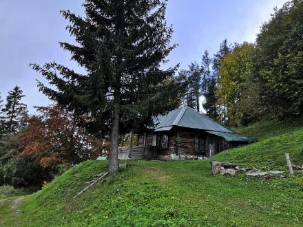 Parajka